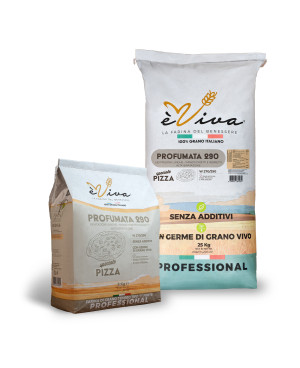 Profumata 290 | Farina Grano Tenero tipo 1 Forte, Farina per Pizza, 100% Italiana, No Pesticidi, No Additivi, Con Germe