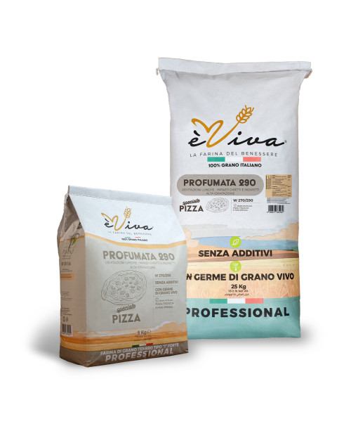 Profumata 290 | Farine de Blé Tendre Type 65 Forte pour Pizza, Pain et Focaccia