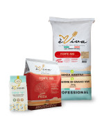 Forte 320 | All-Purpose/Plain Flour Italian Type 0, Flour for pizza, glyphosate-free, no pesticides, with germ